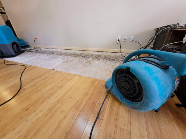 Professional Burst Pipe Water Damage technician working in Plum City, WI